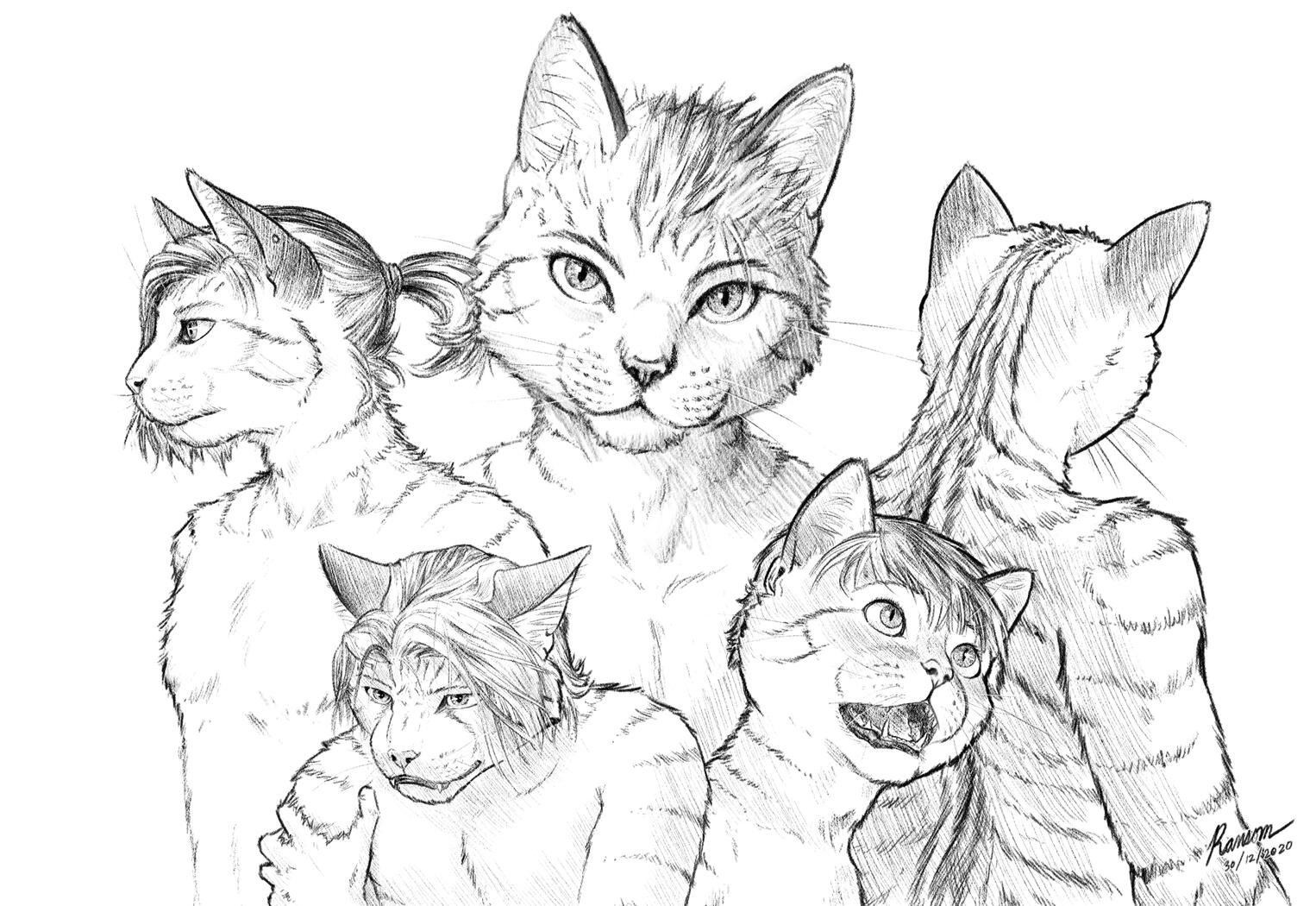 Styles and Expressions