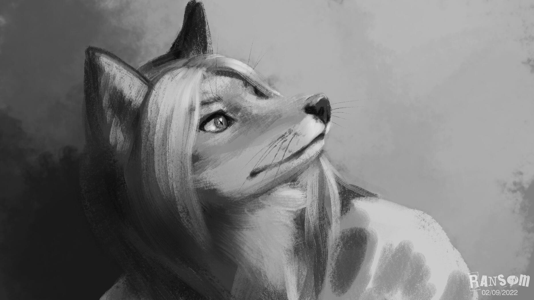 Foxxie