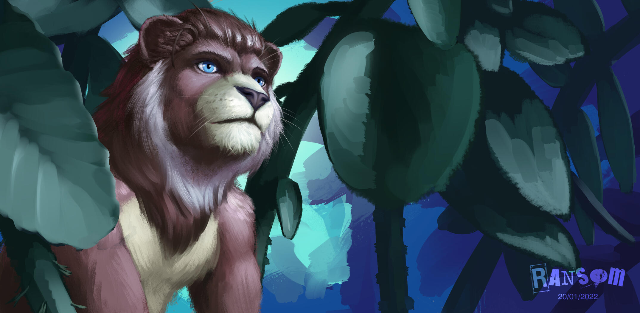 King of the House Plant